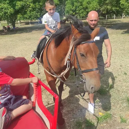 In Sun Waves Lejlighed *